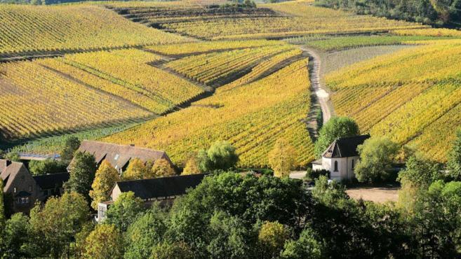 Domaine Bleesz Bed & Breakfast Reichsfeld Exterior photo